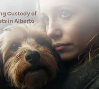 Navigating Custody of Family Pets in Alberta