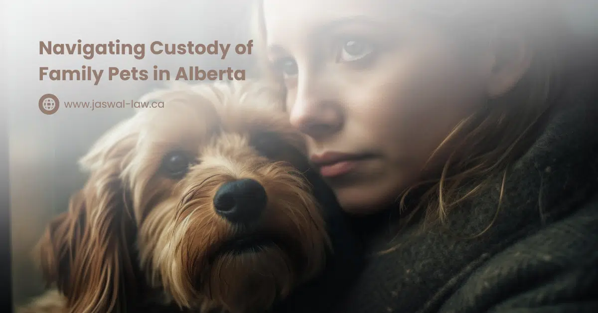 Navigating Custody of Family Pets in Alberta